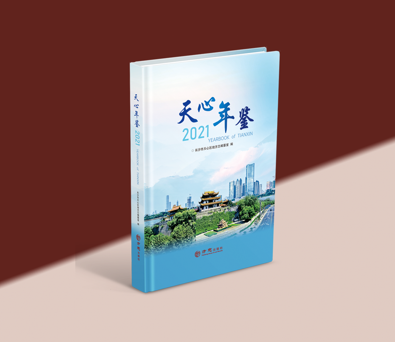 政府年鉴