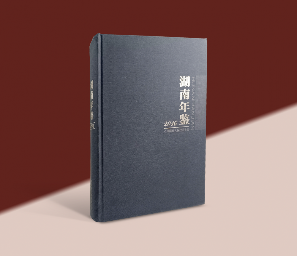政府年鉴