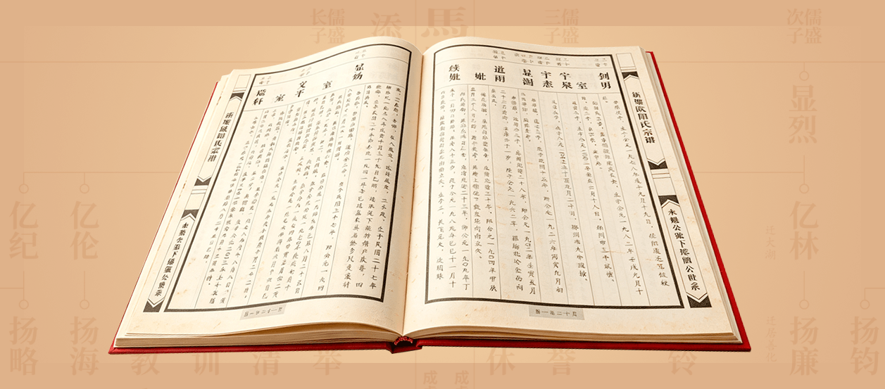 纸张选择丰富族谱
